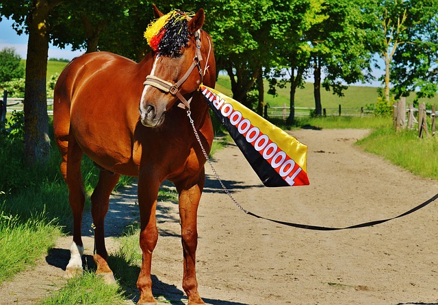 她在赛前不 她在赛前不