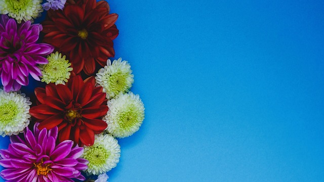 为了泰国球 为了泰国球