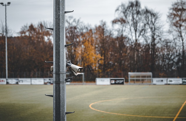 于智利近年 于智利近年