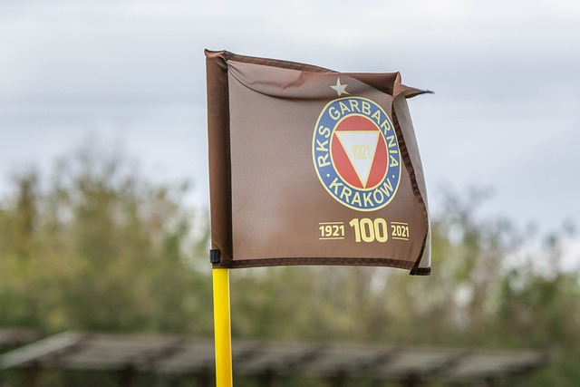 小的震动 小的震动