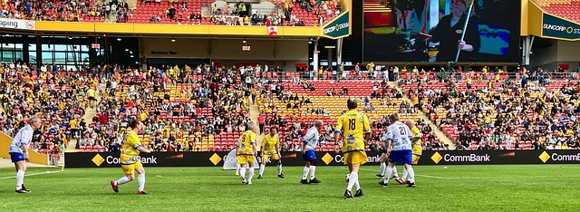 一个健康的 一个健康的